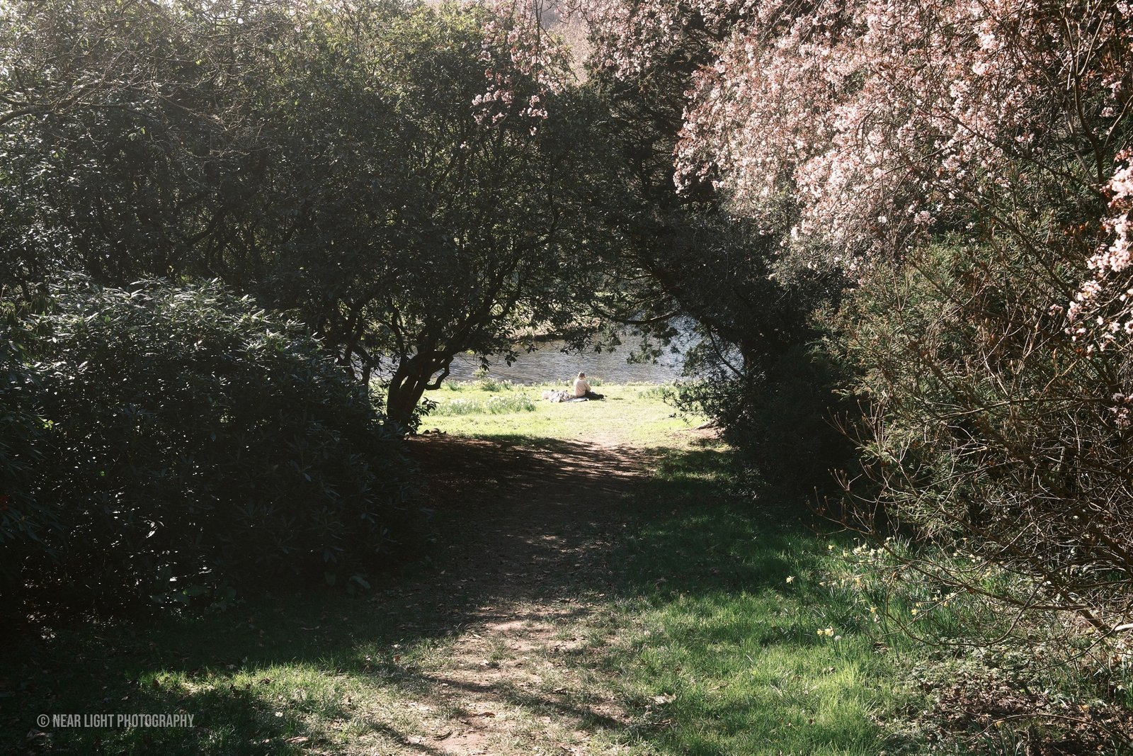 Garden path landscape
