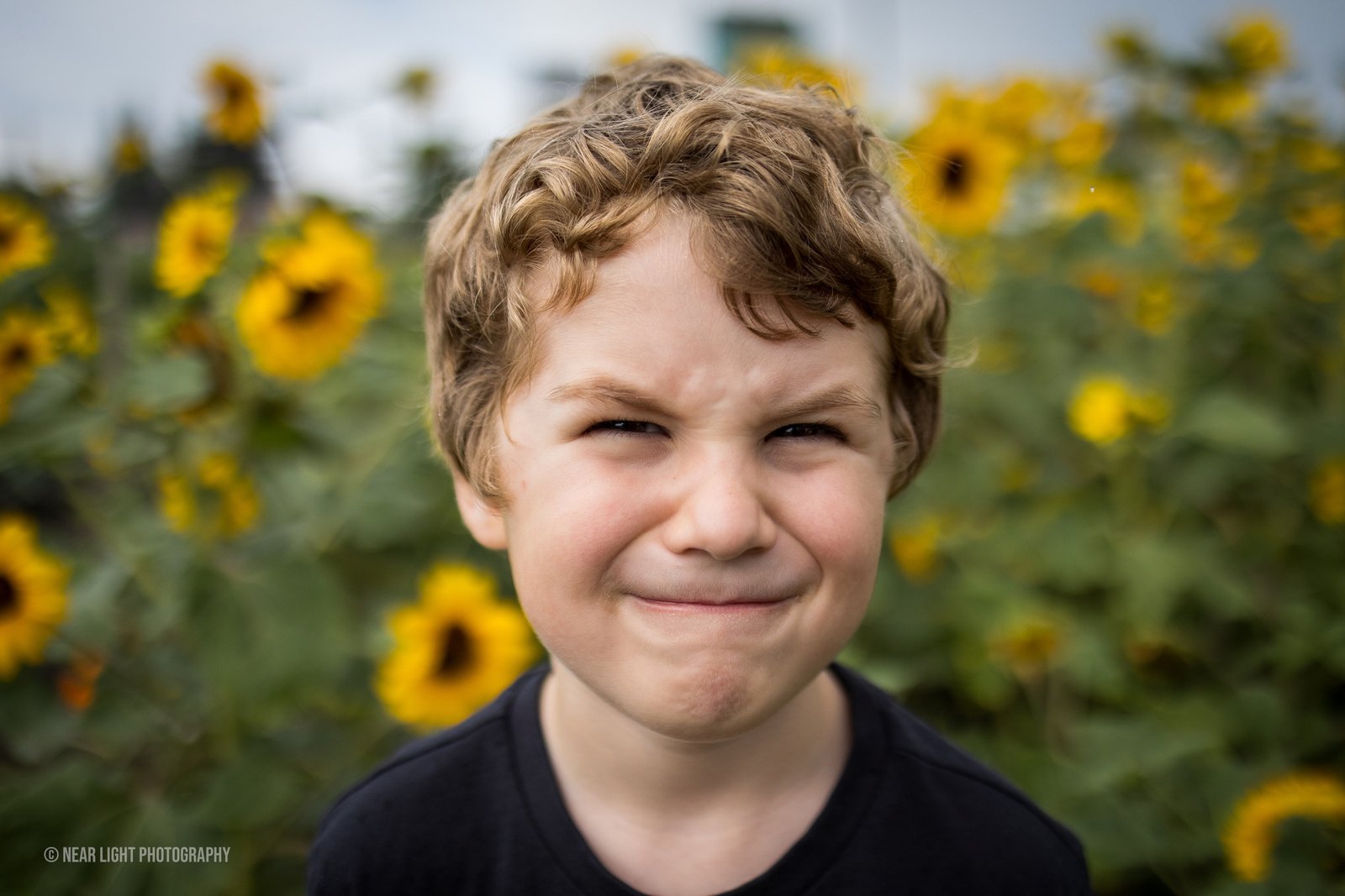 Child portrait in a sunflower field