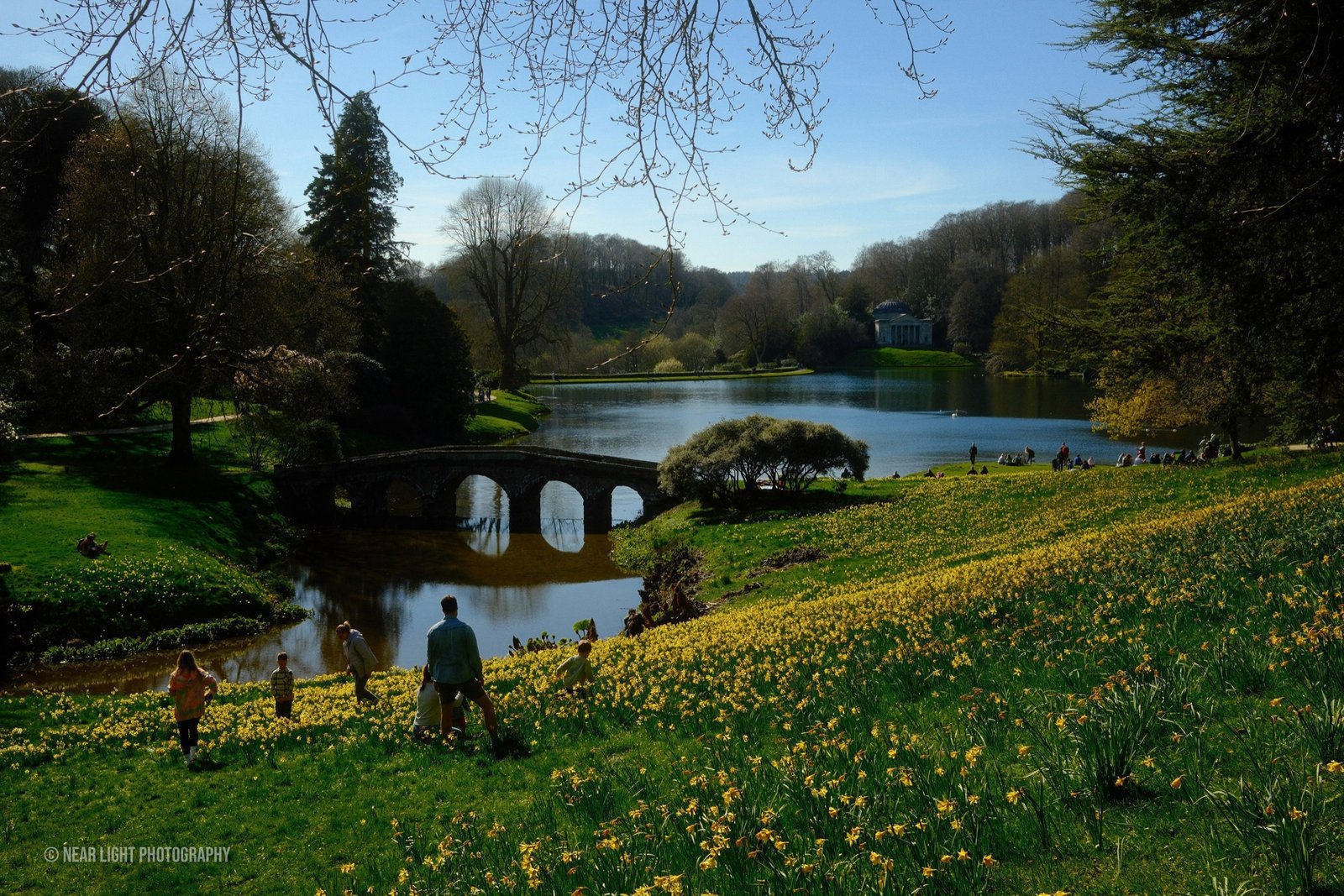 Garden lake with bridge and spring flowers